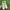 Converse Casual Sneakers Pria white photo 4