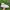 Converse Casual Sneakers Pria white photo 3