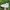 Converse Casual Sneakers Pria white photo 2