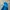 Montbell Gorpcore Windbreaker Pria blue photo 8