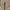 Adidas Casual Sneakers Pria tan photo 7
