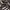 Adidas Indie Casual Sneakers Pria tan brown photo 2