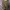 Adidas Indie Casual Sneakers Pria tan brown photo 7