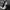 Adidas Indie Casual Sneakers Wanita white black photo 6