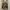 DKNY Luxury Casual Tote bag Wanita white cream photo 3