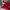 Puma Indie Casual Sneakers Pria white red photo 2