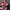 Puma Indie Casual Sneakers Pria white red photo 6
