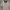 Yves Saint Laurent YSL Vintage Y2K Polo shirt Pria white photo 2