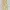 Dolce & Gabbana Luxury Midi Dress Wanita Multicolor Cream