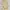 Dolce & Gabbana Luxury Midi dress Wanita multicolor cream photo 2