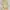 Dolce & Gabbana Luxury Midi Dress Wanita Multicolor Cream