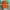 WHO.A.U Reworked Hoody Pria orange photo 1