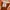 WHO.A.U Reworked Hoody Pria orange photo 3