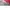 Luxury Casual Bags & Purse Wanita Red