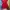 Casual Evening Dress Wanita Red