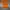 Adidas Sportswear Jersey Pria orange photo 2