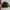 Casual Bomber jacket Pria multicolor photo 5