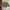 Casual Bomber jacket Pria multicolor photo 1