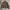 Vintage Casual Bomber jacket Pria tan brown photo 1