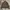 Vintage Casual Bomber Jacket Pria Tan Brown