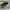 Nike Sportswear Sneakers Pria white black photo 1