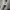 Japanese brand Minimalist Futurist Wanita white gray photo 3