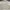 Polo Ralph Lauren Luxury Casual Casual shirt Pria cream photo 2