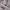 Supreme Y2K Casual Hoody Pria white photo 3