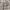 Burberry Luxury Casual Casual shirt Pria multicolor photo 5