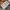 Nike Streetwear Casual Hoody Pria gray photo 4