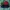 McGregor Vintage Puffer jacket Pria green photo 2