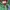 McGregor Vintage Puffer jacket Pria green photo 3