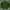 McGregor Vintage Puffer Jacket Pria Green