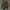 Y2K Vest Pria green photo 1
