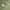 Y2K Vest Pria green photo 2