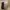 H&M Y2K Minimalist Crop top Wanita tan photo 3