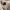 Feltics Casual Hoody Pria cream photo 2
