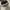 Converse Casual Sneakers Pria white black photo 3