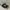 Converse Casual Sneakers Pria white black photo 1
