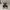 Converse Casual Sneakers Pria white black photo 6