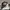 Sportswear Casual Hat Pria white black photo 1