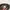 Kangol Luxury Minimalist Hat Pria gray photo 4