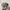 Kangol Vintage Y2K Hat Pria tan photo 1