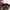 Brixton Streetwear Sportswear Hat Pria gray photo 4