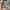 Casual Stroller Kids gray photo 3