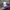 Sportswear Casual Hat Pria purple gray photo 2