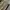Dockers Streetwear Casual Casual pants Pria tan khaki photo 7