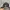 New Era Sportswear Casual Hat Pria black photo 2