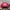 Sportswear Casual Hat Pria red photo 3