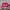 Sportswear Casual Hat Pria Red